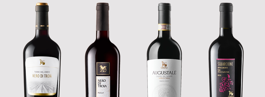 Il vino da uve Nero di Troia. Gradazione e caratteristiche