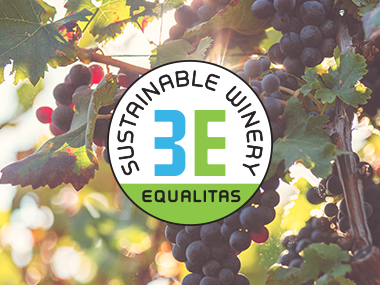 Cantina di Ruvo di Puglia is a sustainable winery according to Equalitas.